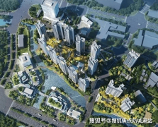 实现“湿地+江景”资本